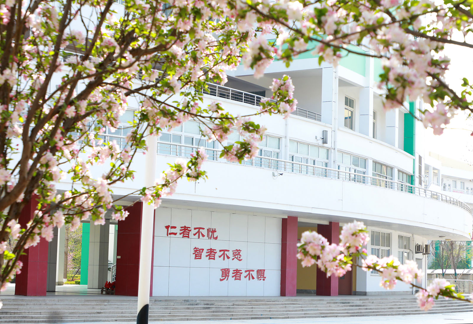 拔尖创新人才培养