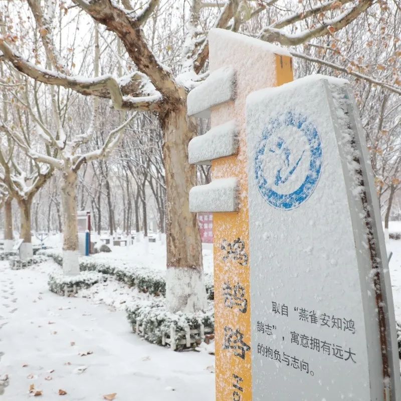 初雪印象 昌乐二中校园美如画