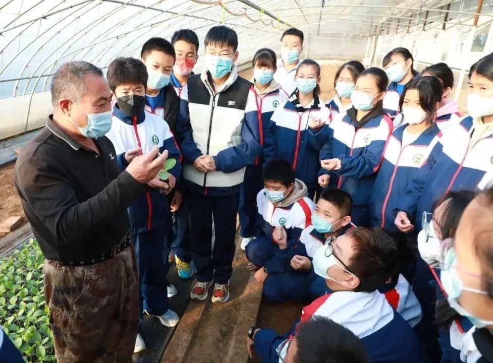 享丰收喜悦 品西瓜甘甜——昌乐二中开展西瓜采摘实践课程