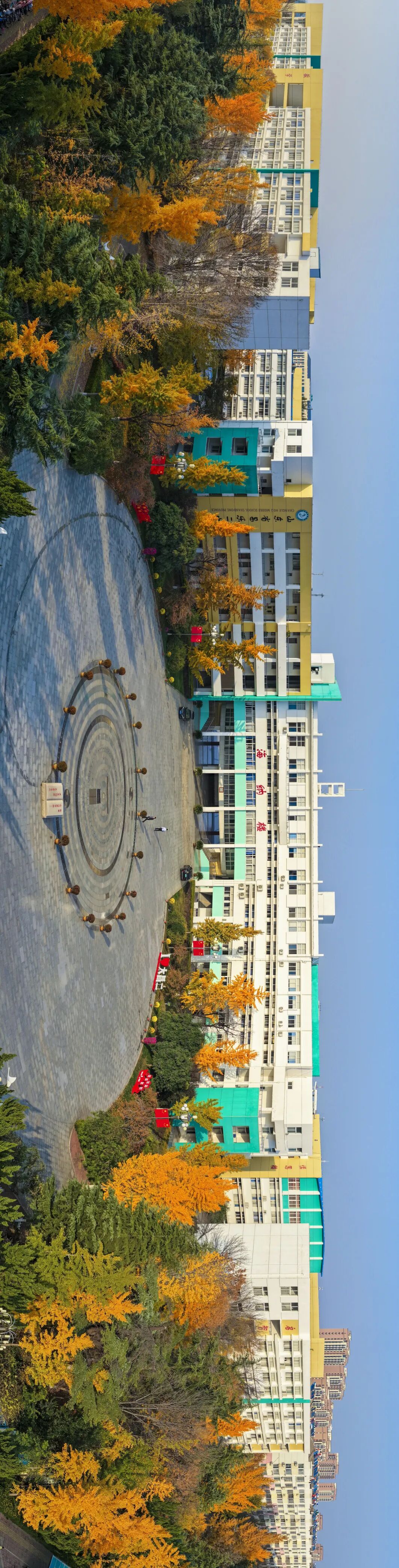 山东省昌乐二中|271教育：当斑斓秋色与活力青春相遇