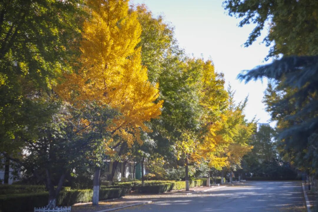 山东省昌乐二中|271教育：【校长推荐】人生有三贵：贵恒 贵勤 贵专