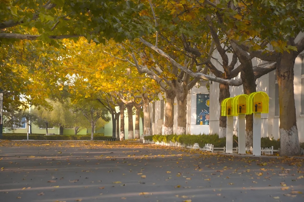 山东省昌乐二中|271教育：【校长推荐】时光不语，功在“沉淀”蓄力