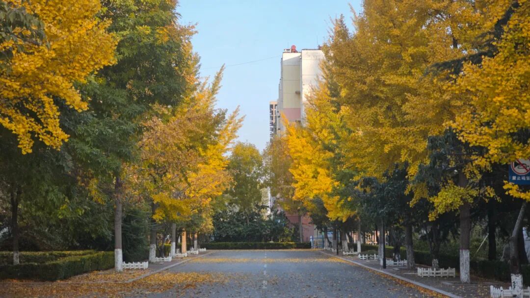 山东省昌乐二中|271教育：【校长推荐】俯仰之间的人生智慧