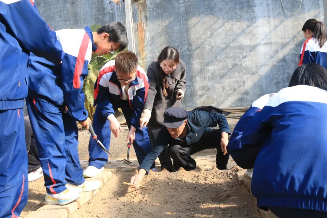 271教育|昌乐二中初一年级开展劳动教育种植课程