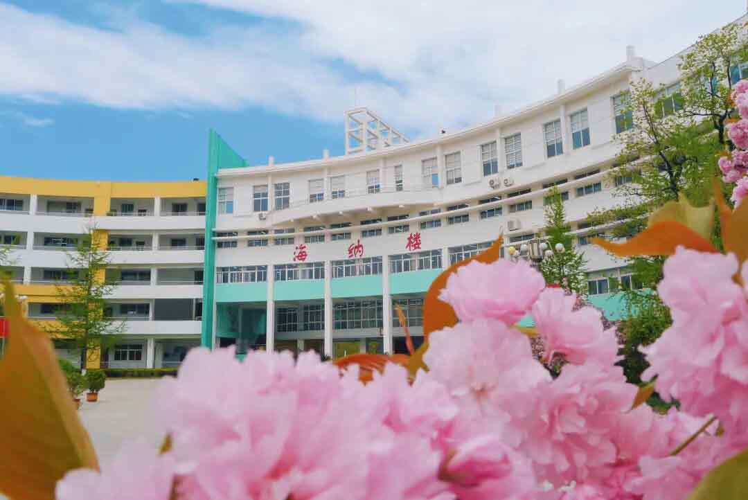 271教育|樱花牡丹齐绽放，校园美景正当时